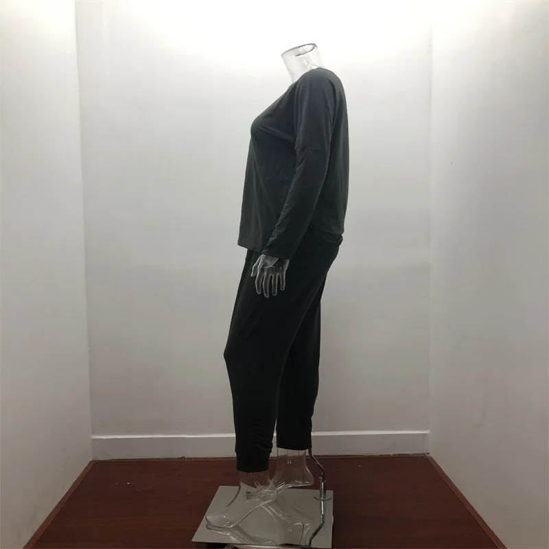 Hot Women's Long Sleeve Round Neck Top and Pants Set Simple Solid Colour Pajama Set Casual O Neck Two Piece Outfit