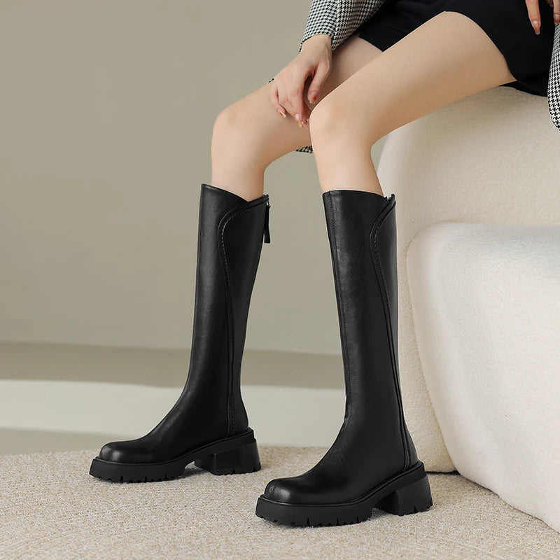 Winter Vintage Platform Woman Knight High Boots Concise Soft Plush Thick Sole Shoes Ladies Stretch Slim Modern Long Botas