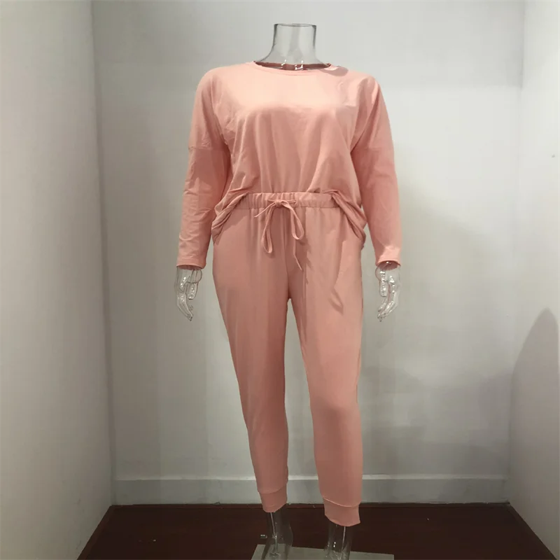 Hot Women's Long Sleeve Round Neck Top and Pants Set Simple Solid Colour Pajama Set Casual O Neck Two Piece Outfit