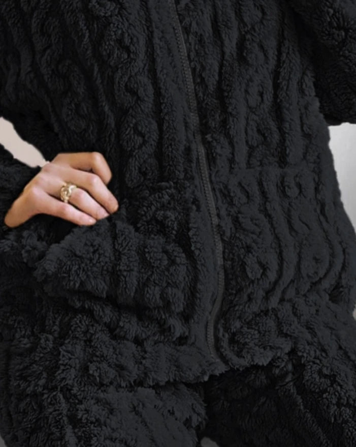 Autumn and Winter Fashion Two Piece Set 2Pcs Jacquard Textured Stand Collar Zip Up Fuzzy Teddy Top & Pants Set for Women