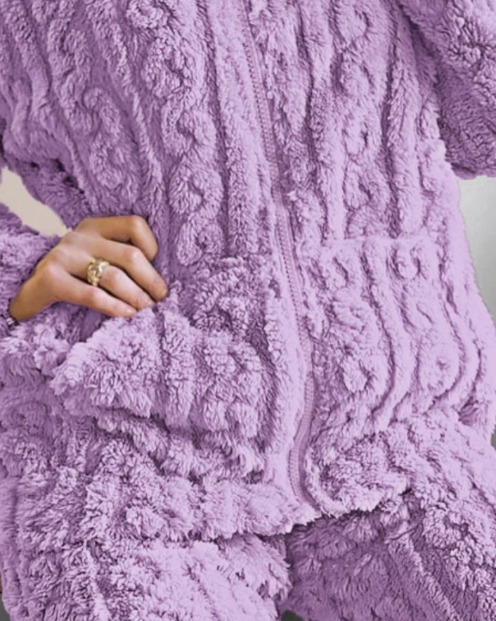 Autumn and Winter Fashion Two Piece Set 2Pcs Jacquard Textured Stand Collar Zip Up Fuzzy Teddy Top & Pants Set for Women